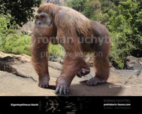 This page is in honor's blackie lawless of w.a.s.p the king of my heart. Image - Gigantopithecus-blacki-738x591.jpg | The Parody ...