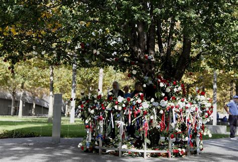 The Survivor Tree National September 11 Memorial And Museum