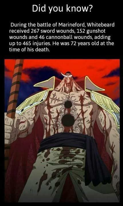 What If Whitebeard Didnt Die From All The Fighting And Wounds He Get