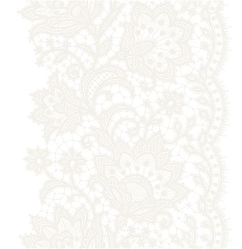 59 White Lace Background