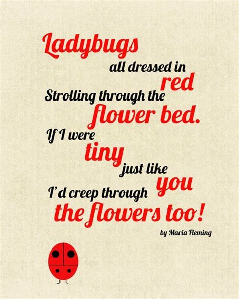 Pin By Misha Thompson On Citater Ladybug Quotes Ladybug Poems