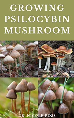 Growing Psilocybin Mushroom The Ultimate Guide To The Growing
