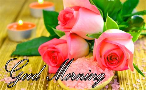 With tenor, maker of gif keyboard, add popular good morning animated gifs to your conversations. गुड मॉर्निंग फोटो इमेज वॉलपेपर डाउनलोड 2021 | Good Morning ...