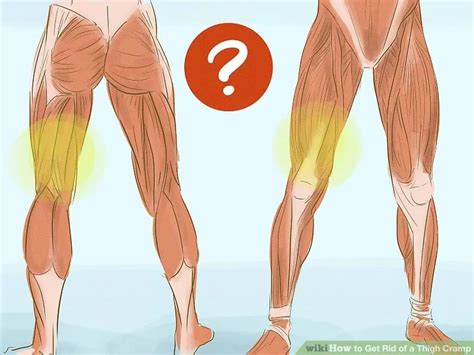 How To Get Rid Of A Thigh Cramp Thigh Cramps Cramp Relief Leg