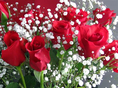 Say happy anniversary with anniversary flowers delivery to usa. Flower Boutique - Online Flower Delivery in India ...