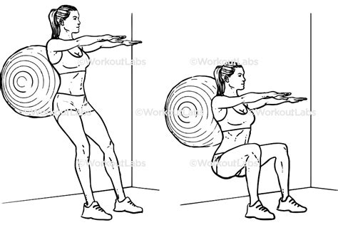 Stability Swiss Exercise Ball Squats Workoutlabs Exercise Guide