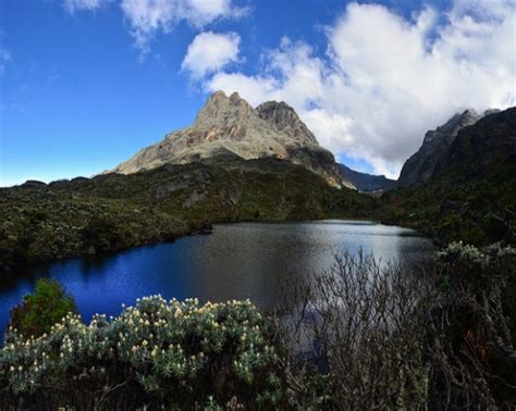 The ruwenzori, also spelled rwenzori and rwenjura, are a range of mountains in eastern equatorial africa, located on the border between uganda and the democratic republic of the congo. Uganda Safari Tours, Adventure Trips and Holidays