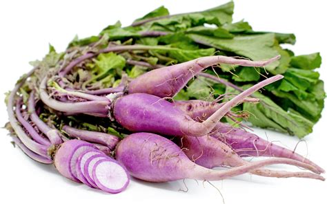 Purple Daikon Radish Information Recipes And Facts