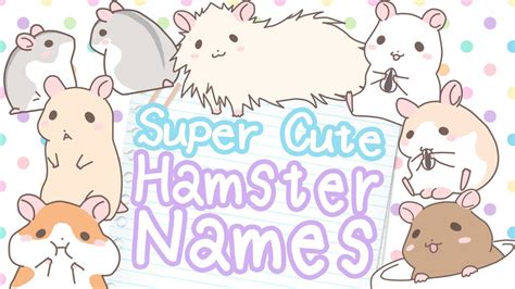 🐹 Hamster Name Ideas For Every Kind Of Hamster 🐹 Over 300 Names Youtube