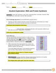 Student exploration rna and protein synthesis gizmo answer key is available in our book collection an online access to it is set as public so you can get it instantly. Josh Harmon RNAProteinSynthesis.pdf - Name_Josh Harmon Date Student Exploration RNA and Protein ...