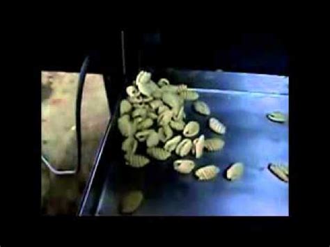 Pada asalnya saya terpandang resepi kuih siput dalam youtube try masak yang menggunakan bahan yang simple menyebabkan saya teruja untuk cuba dah lah kali pertama mahu cuba membuat kuih siput sendiri. Mesin Kuih Siput ACSB - YouTube