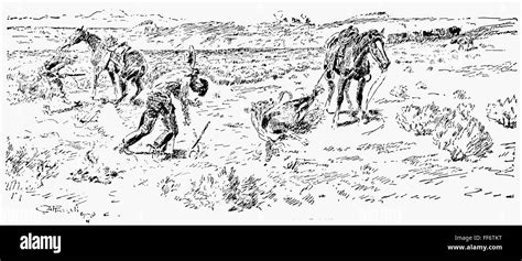 Russell Rustlers Nrustlers Caught In The Act Drawing By Charles M