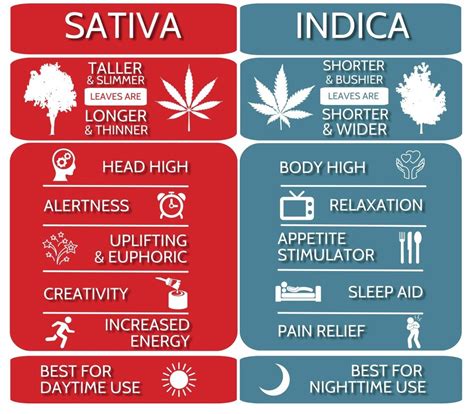 I think if they were labelled accurately it would probably create a lot more confusion, which is unnecessary. Indica vs Sativa? - Smoking Joysticks