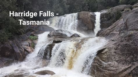 Harridge Falls Tasmania Youtube