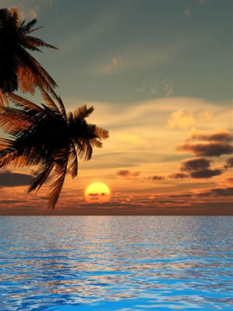 Free Download Sunset Beach Wallpapers 1485x1114 For Your Desktop Mobile And Tablet Explore 66