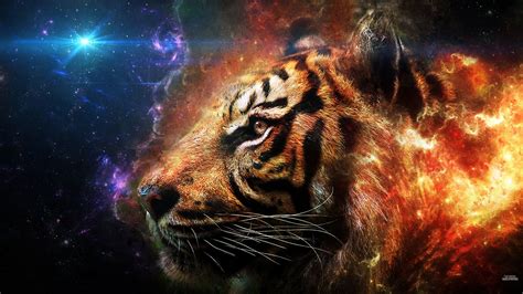 Space Tiger Wallpapers Top Free Space Tiger Backgrounds Wallpaperaccess