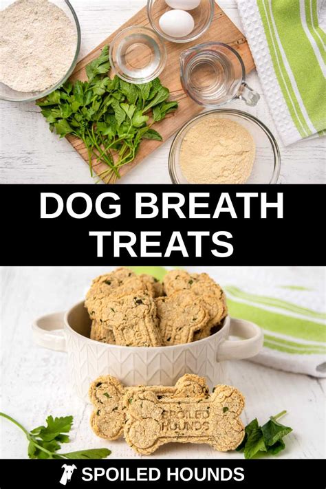 Homemade Dog Treats For Bad Breath Spoiled Hounds