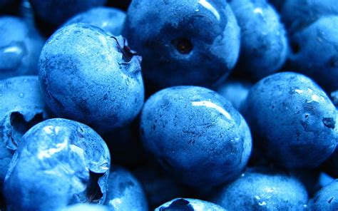 Hd Wallpaper Blue Berrylot Blueberries Moist Dark Blueberry Food