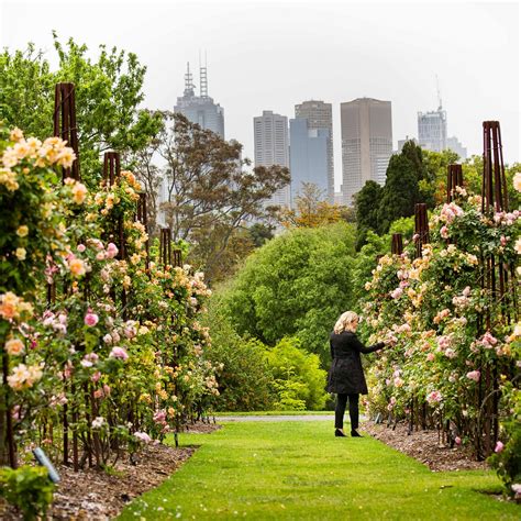 Royal Botanical Gardens Melbourne Wedding Photos Fasci Garden
