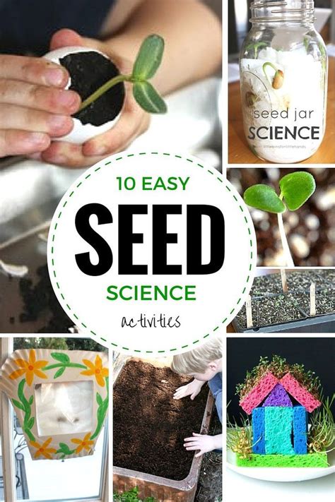 The games contained in this section will also provide you with a great source of ideas for your classes. Plant Activities For Preschool | Spring science activities ...