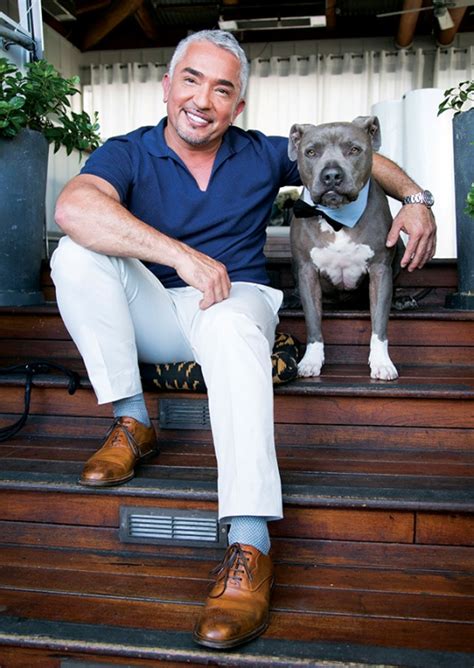 Celebrity dog trainer cesar millan, known as the 'dog whisperer' on his nat geo wild cable show, will not face animal cruelty charges, it was announced monday. Dog Whisperer Cesar Millan Shares His Canine Wisdom ...