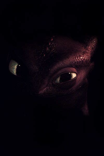 Download free iphone 5/5s/5c and iphone se wallpapers. Black toothless httyd how to train your dragon iPhone iPod ...