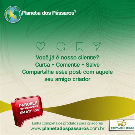 Planeta Dos Pássaros