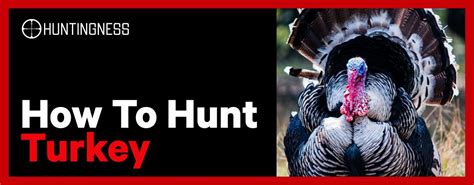 How To Hunt Turkey Quick Tips Tricks And Tactics For Success