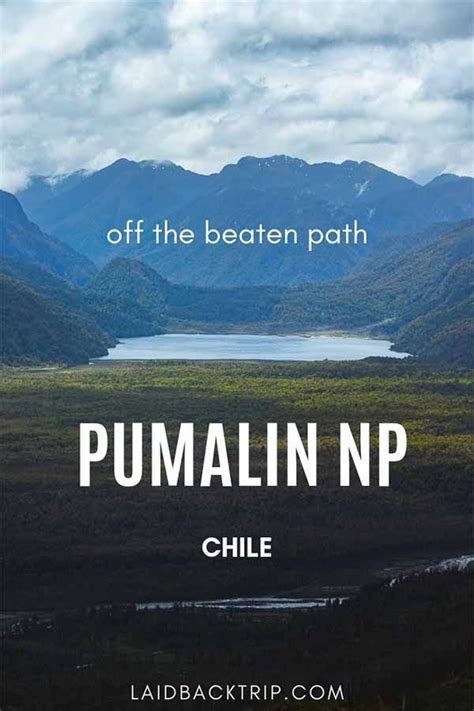 Pumalin National Park Make A Stop On Your Carretera Austral Adventure