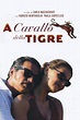 A cavallo della tigre - Movies on Google Play