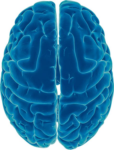 Smart Brain | Villanova Magazine