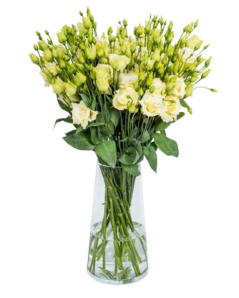 Lisianthus Alissa Yellow Flowers By Flourish Use Code Fbf10 For