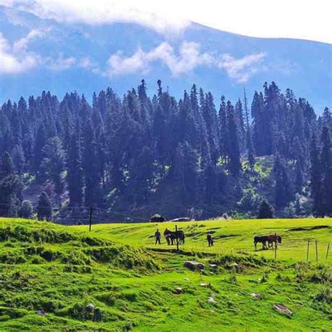 21 Places To Visit In Gulmarg And Srinagar Weekend Thrill