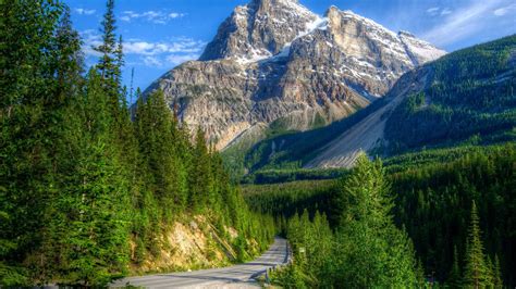 Beautiful Mountain Landscape Green Pine Forest High Mountain Peaks With Snow Blue Yoho National