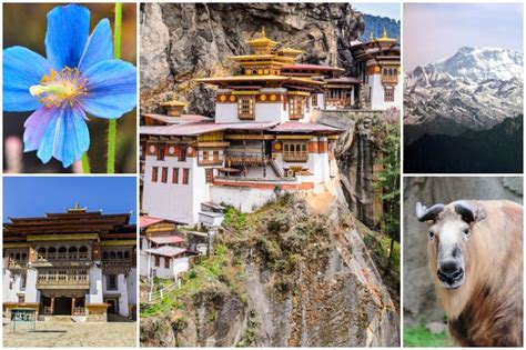 Top 7 Facts About Bhutan That Will Surprise You