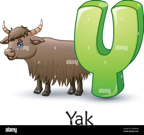 Letter Y Is For Yak Cartoon Alphabet Stock Vector Image And Art Alamy