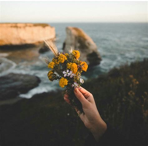 By Samuel Elkins Instagram Nature Photography Flower Aesthetic