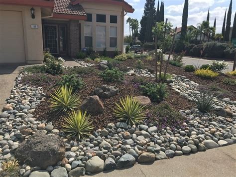 Pin By Brieana Tunison On Front Yard Drought Tolerant Landscape Front