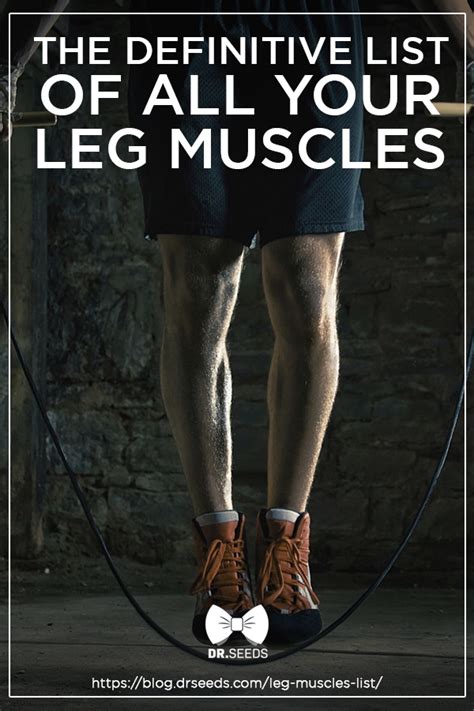 Striated muscles are most necessary for manipulation of the bones of the skeleton. Leg Muscles List: Anatomy & Functions of Legs | Leg muscles, Muscle, Legs