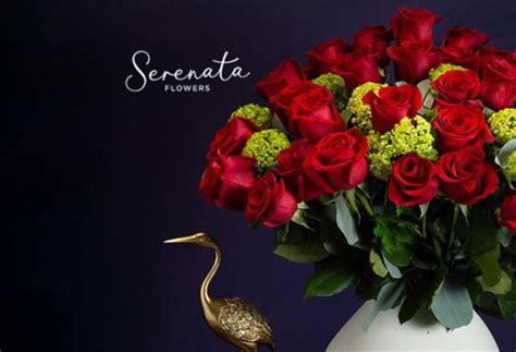 Talabat voucher code is not required to redeem savings. 10% Off Serenata Flowers Discount Codes - November 2020 ...