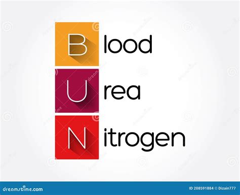 Bun Blood Urea Nitrogen Acronym Medical Concept Background Stock