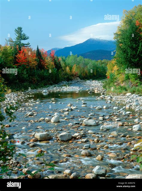 Creek With Mt Washington In Background In Autumn New Hampshire