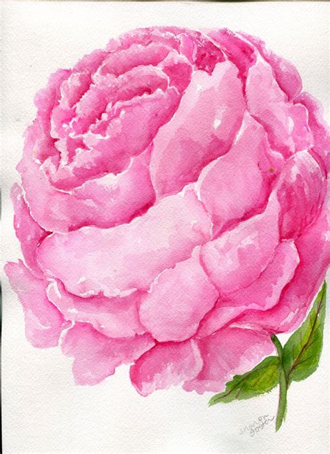 Pink Peony Watercolor Painting Original 9 X 12 Etsy Peony Painting