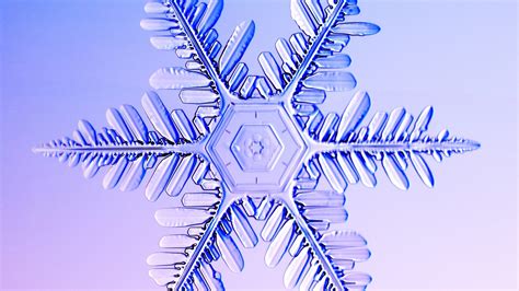 Real Snowflakes Under The Microscope