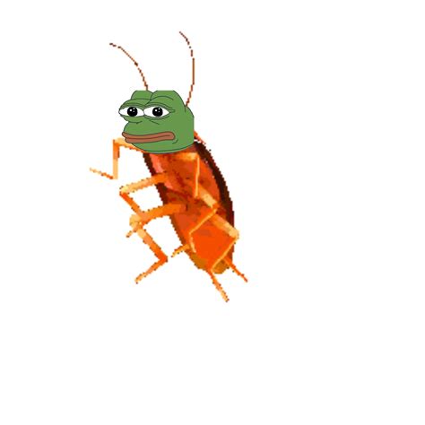Roach Png Hd Free File Download Png Play