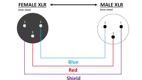 Xlr Male To Female Wiring Diagram Wiring Diagram Schemas