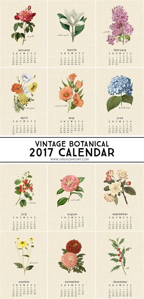 Beautiful Vintage Botanical 2017 Calendar A Perfect Addition To Your