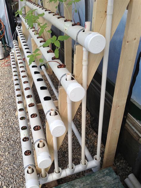 Avoid extreme temperature and ensure there the plants get is sufficient light to develop. Aquaponics DIY No Pump - Thoughts On Essential Elements Of ...