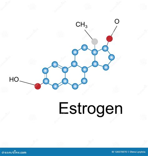 Estrone Oestrone Human Estrogen Hormone Molecule Skeletal Formula Royalty Free Stock