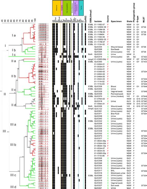 Random Amplified Polymorphic Dna Rapd Dendrogram Of 67 Download